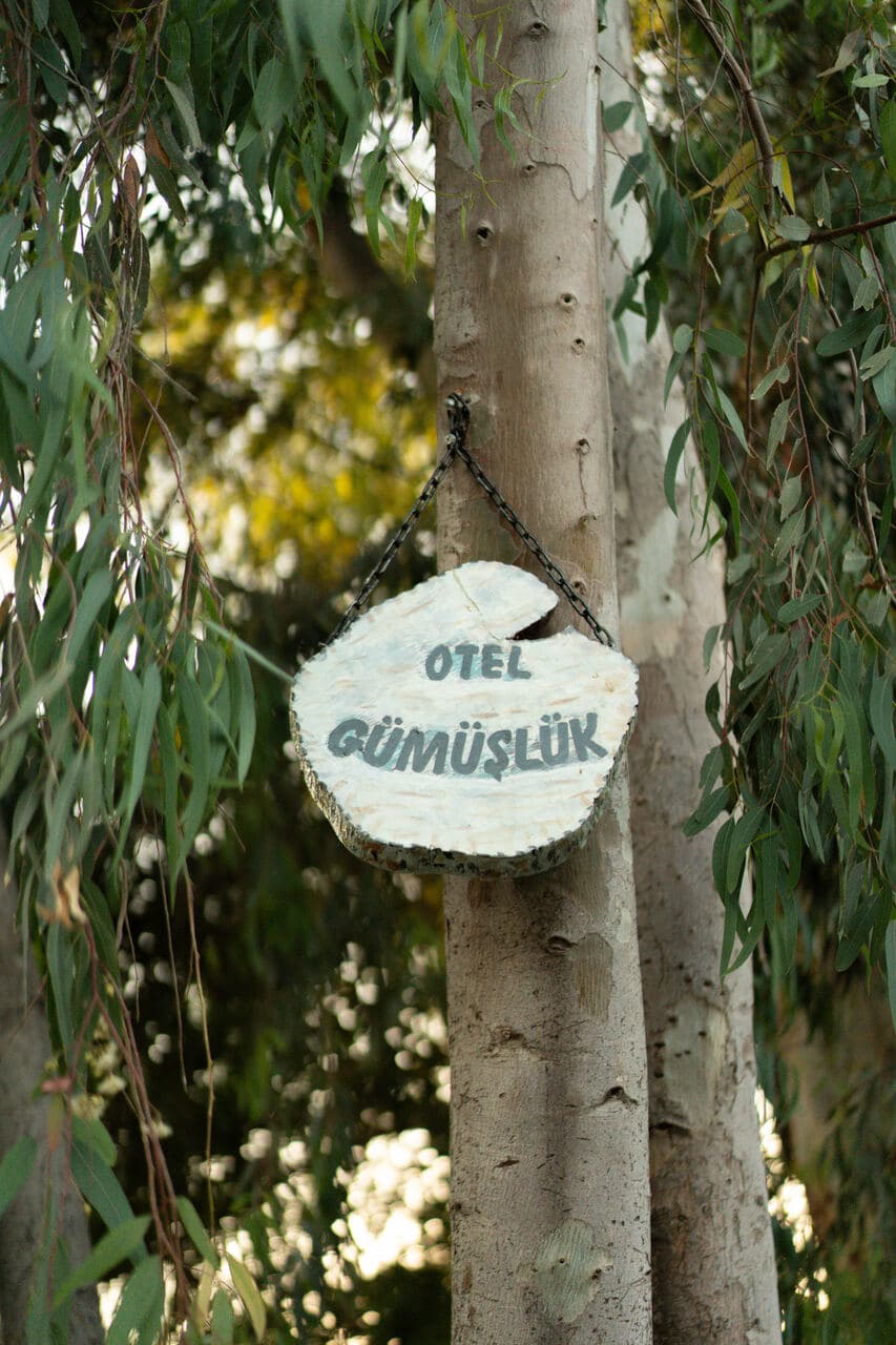 Ağaçtaki tabelamız